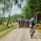 Gravel Grit n Grind får ny arrangör och blir en del av den nordiska gravelserien NGS. Foto: Destination Halmstad AB