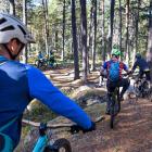 Mountainbikeleder är billiga och har låg klimatpåverkan, visar en ny rapport framtagen av miljökonsultbolaget Ecoloop, på uppdrag av Cykelfrämjandet och Friluftsfrämjandet. Foto: Johan Marklund