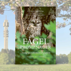 Fågelpromenader i Kungliga nationalstadsparken är en ny vandringsguide längs olika rutter i natur, kultur och historisk miljö. Foto: Votum Media