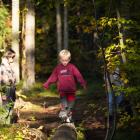 Den nya versionen av Trollskogen kommer att ta emot sina första besökare i slutet på maj. Foto: Vänersborgs kommun