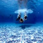 Foto: jesper stechmann/Unsplash