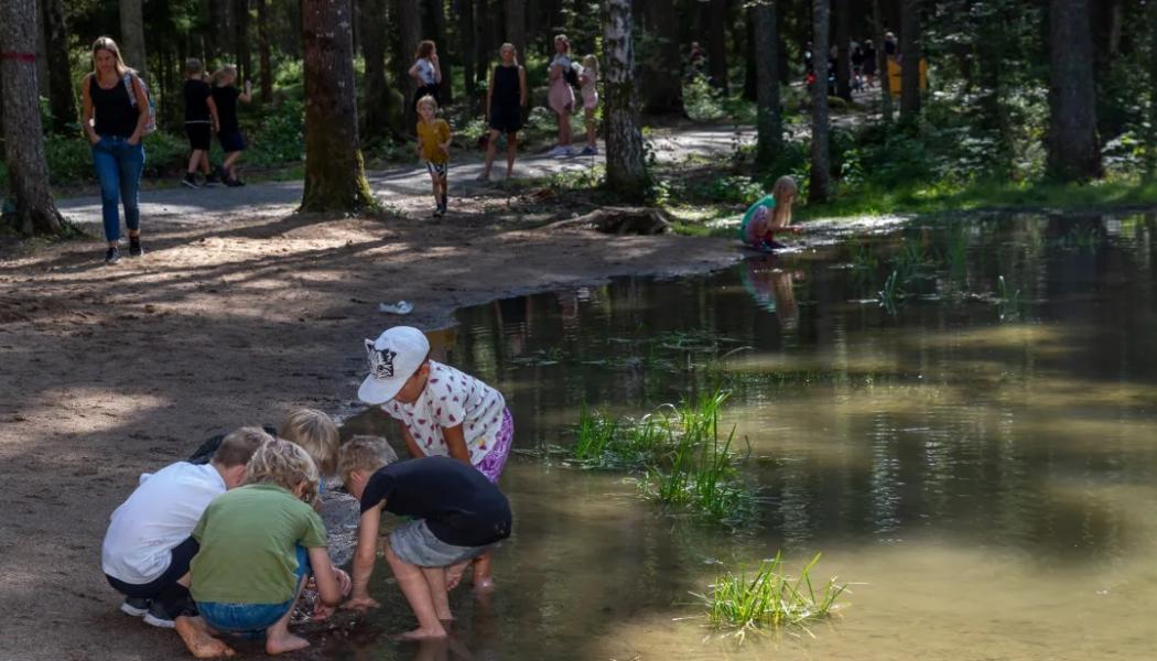 Hjärstaskogen ska bland annat få en groddamm liknande den i Varbergaskogen. Foto: Susanne Flinck