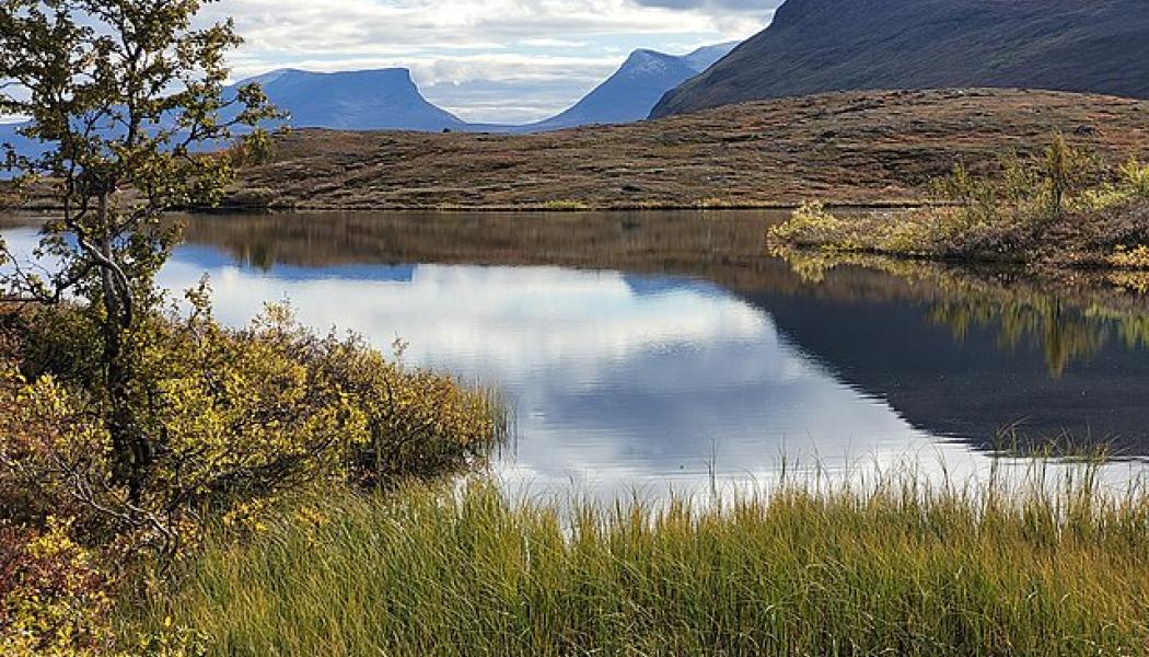 Abisko nationalpark. Foto: Torbjoern Messner/ Wikimedia Commons