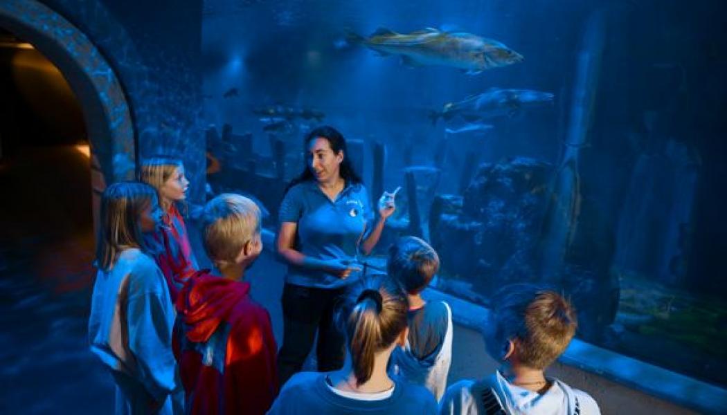 Baltic Sea Science Center på Skansen. Foto: Richard von Hofsten