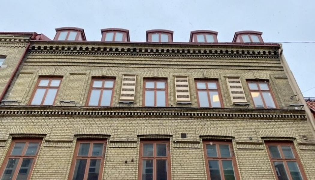 Nu har några av Wallenstams minsta hyresgäster precis flyttat in i sina bihotell på Södra Larmgatan i Göteborg. Bihotellen här är ett av flera initiativ från Wallenstam för att bidra till den biologiska mångfalden. Foto: Wallenstam
