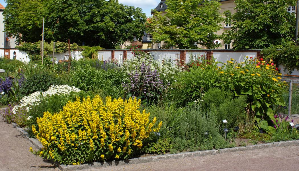 Botaniska trädgården i Västerås. Foto: Arkivbild Västerås stad
