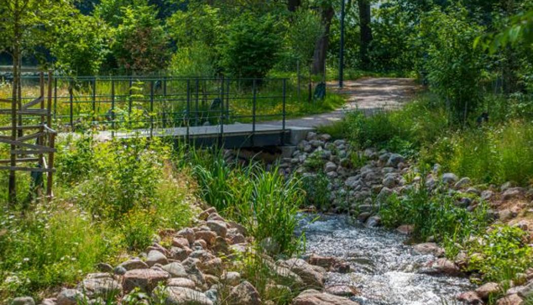 Fiskomlöpet Nykvarnsholmen. Pressbild: Tekniska verken i Linköping