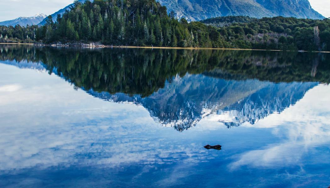 Foto: Delfina Iacub / Unsplash 