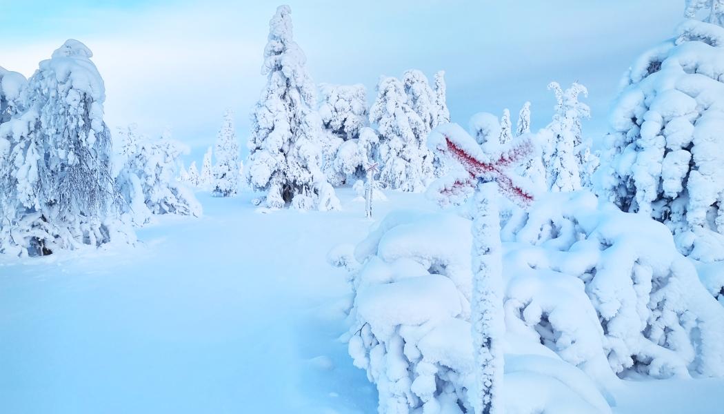 Foto: Länsstyrelsen Dalarna