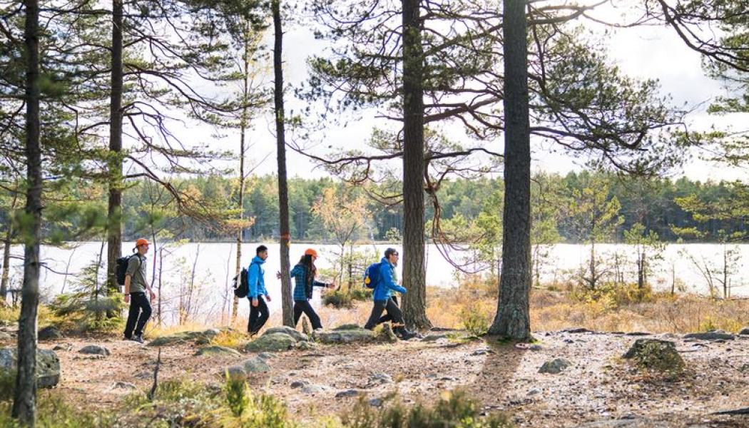 Länsstyrelserna skjuter många nödvändiga åtgärder för friluftslivet och naturvården på framtiden. Foto: Friluftsfrämjandet