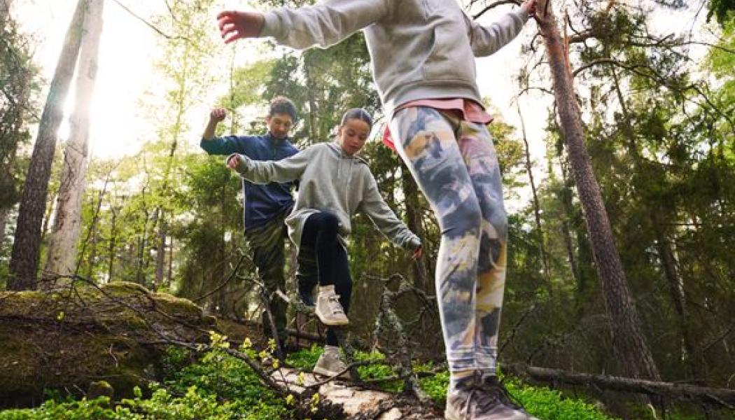 Forskning visar att regelbunden vistelse i naturen kan minska stress, stärka välbefinnandet och bidra till ökad livskvalitet – särskilt för barn och unga. Foto: Svenskt Friluftsliv 