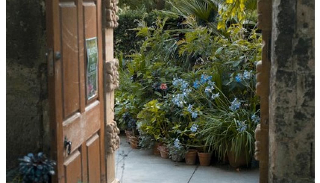  garden foto unsplash