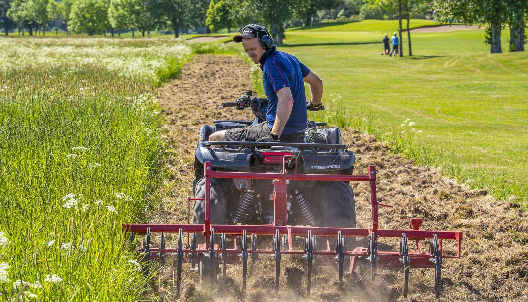 Sigtuna golfbana har satsat på en blomstrande ruff. Foto: Ola Jennersten, WWF