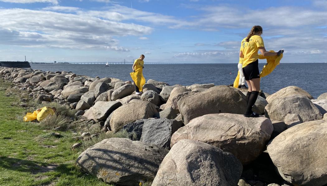 Idrottsföreningar städade Sveriges stränder. Foto: Pantamera