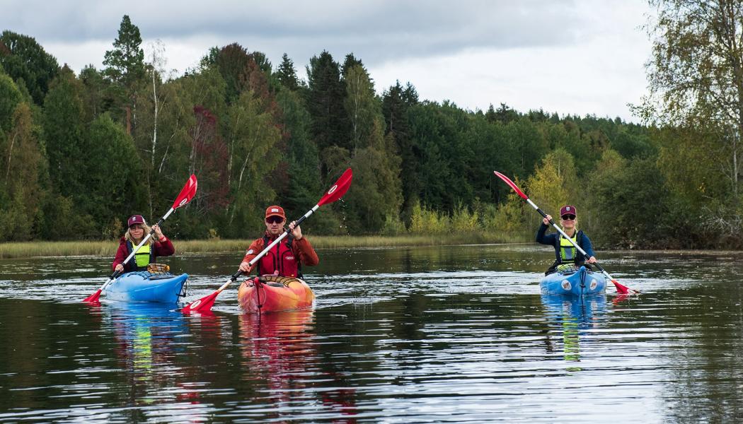 Järvsö blir värd för Sveriges ledande friluftsfestival. Foto: Sofie Lantto.
