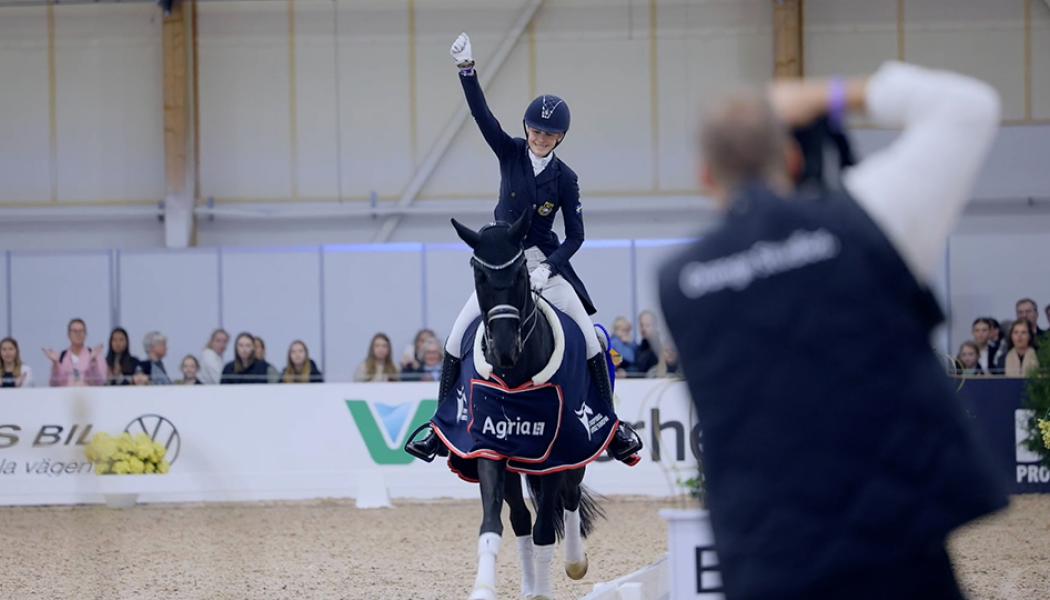 Jönköping Horse Show 2022. Foto: Destination Jönköping