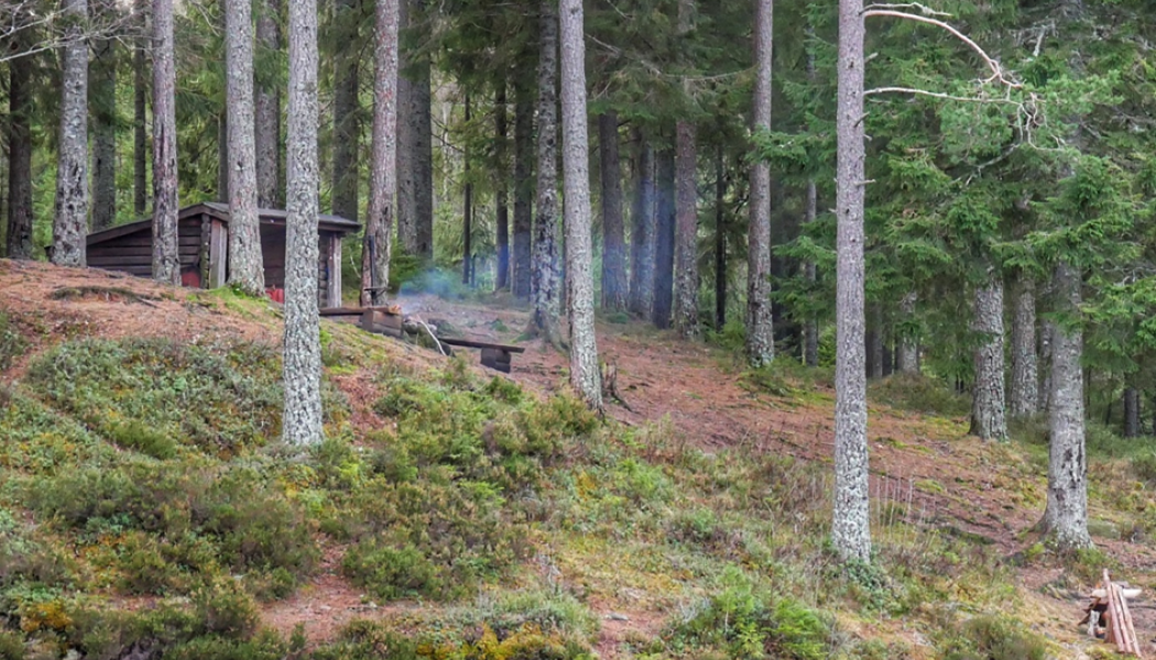 Ett vindskydd vid Björktjärn i Kilsbergen. Foto: Johan Karlström/Region Örebro Län.