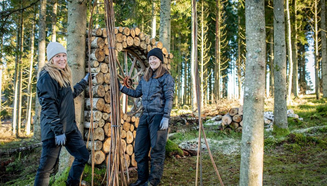 Resultatet blir installationer som smälter in i skogen – skapade i trä, sten och andra hållbara material. Foto: Destination Falkenberg