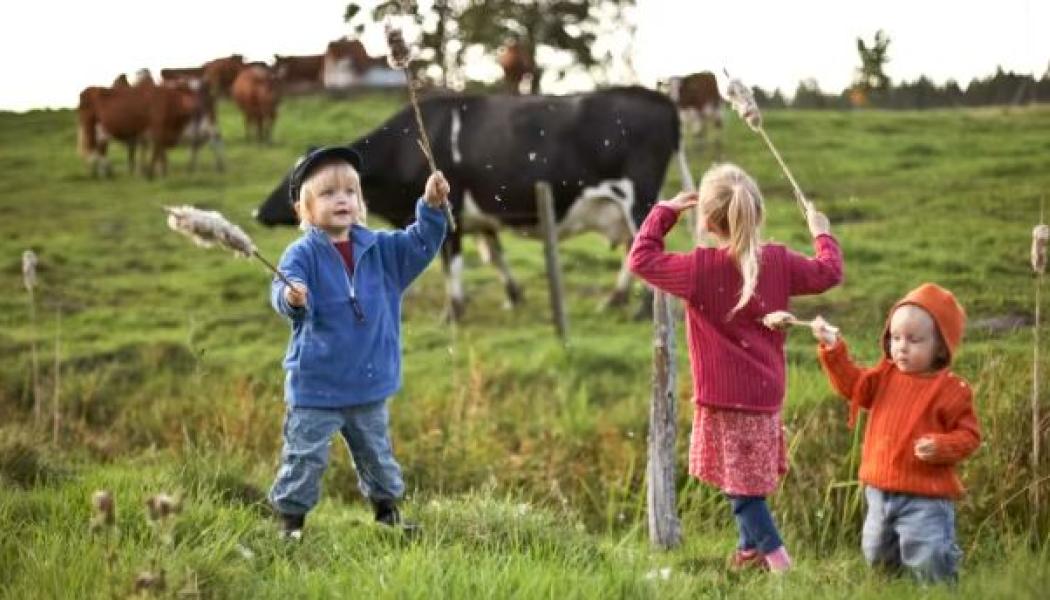 Genrebild, barn vid kohage. Foto: Scandinav