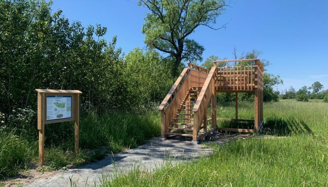 Löjtnantsholms naturreservat. Foto: Länsstyrelsen i Västra Götaland
