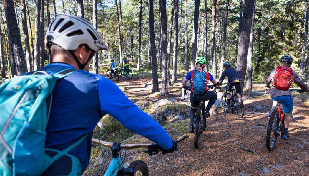 Mountainbikeleder är billiga och har låg klimatpåverkan, visar en ny rapport framtagen av miljökonsultbolaget Ecoloop, på uppdrag av Cykelfrämjandet och Friluftsfrämjandet. Foto: Johan Marklund