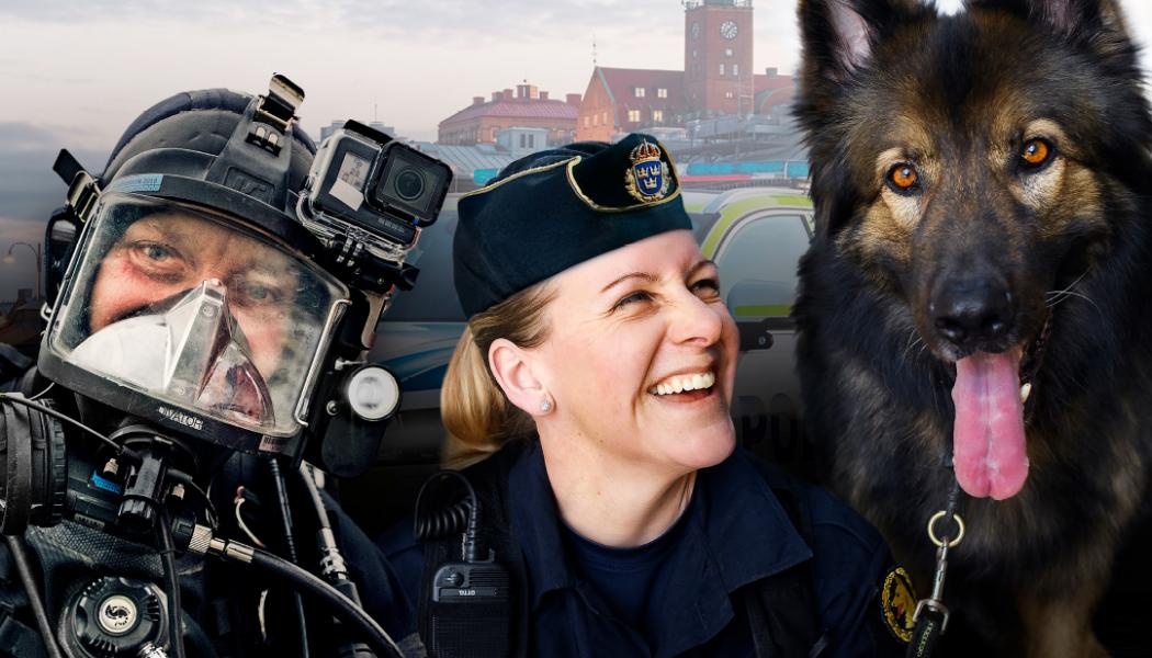 Foto: Sveriges Museer