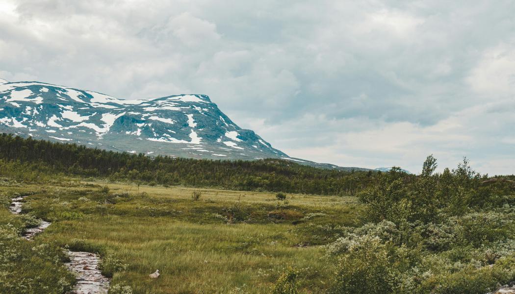 Abisko. Foto: philip myrtorp/unsplash