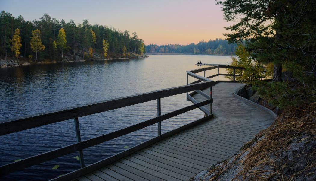 Handen. Foto: karlo boni/unsplash