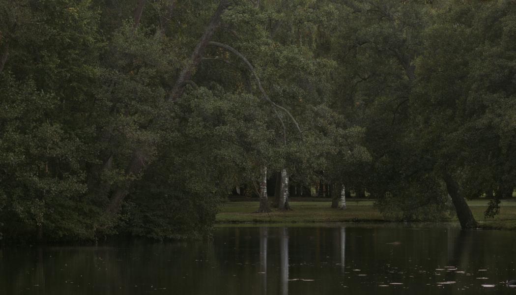 Lars Nilsson, Park II (2011). Foto: Lars Nilsson. Bild beskuren.