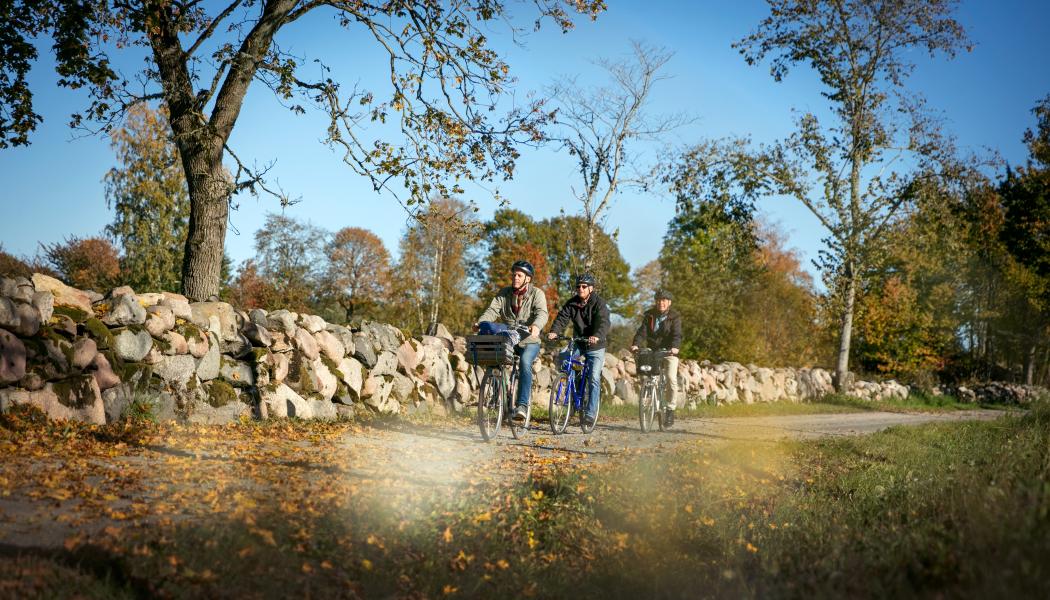 Cykelleden kommer att  sträcka sig mellan kommunerna Karlsborg, Tibro, Skövde, Skara och Lidköping. Foto: Next Skövde