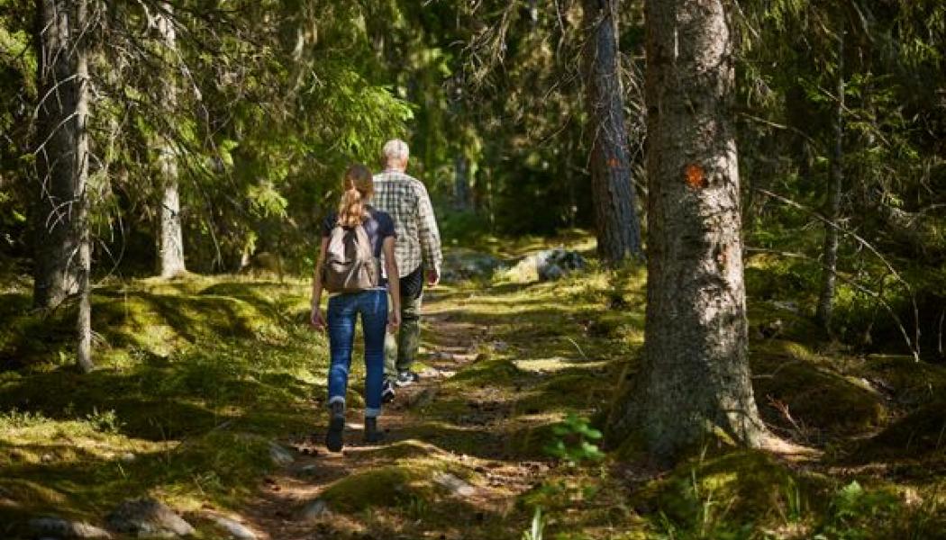 Foto: Skogsstyrelsen