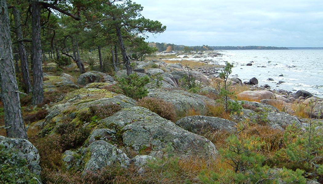 I Vänern, utanför Mariestad ligger ön Onsö, vars rika natur sedan 2005 skyddas som naturreservat. Foto: Länsstyrelsen Västra Götaland