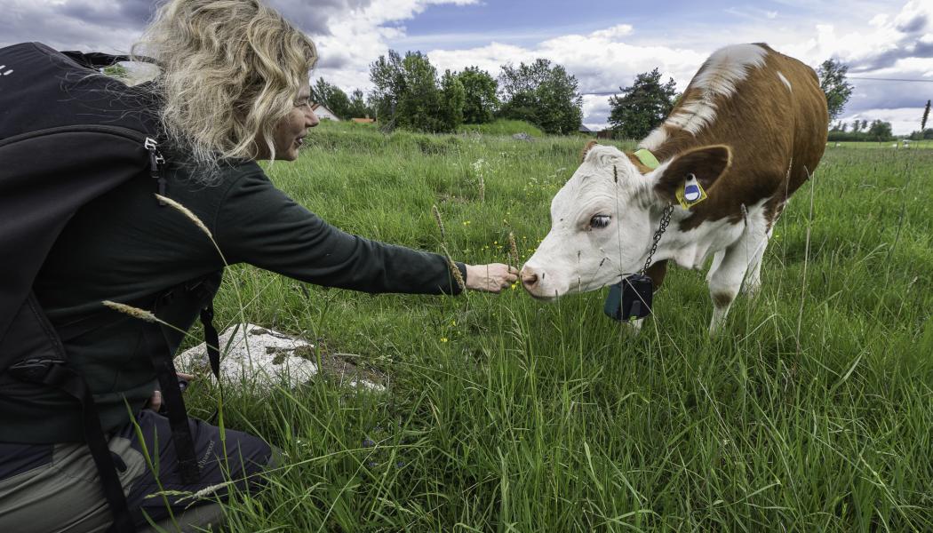Jenny Jewert, WWF. Fotograf: Ola Jennersten
