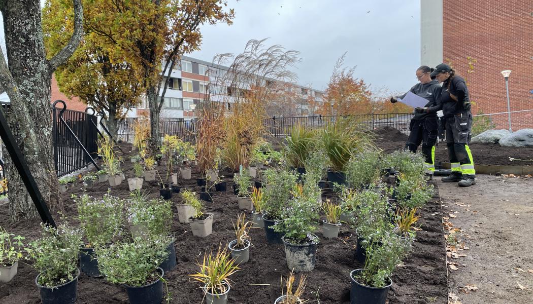 Parken får inte bara nya blommor utan också nya bänkar och ny grillplats. Planen är att parken ska vara klar under hösten 2022. Foto: Huge