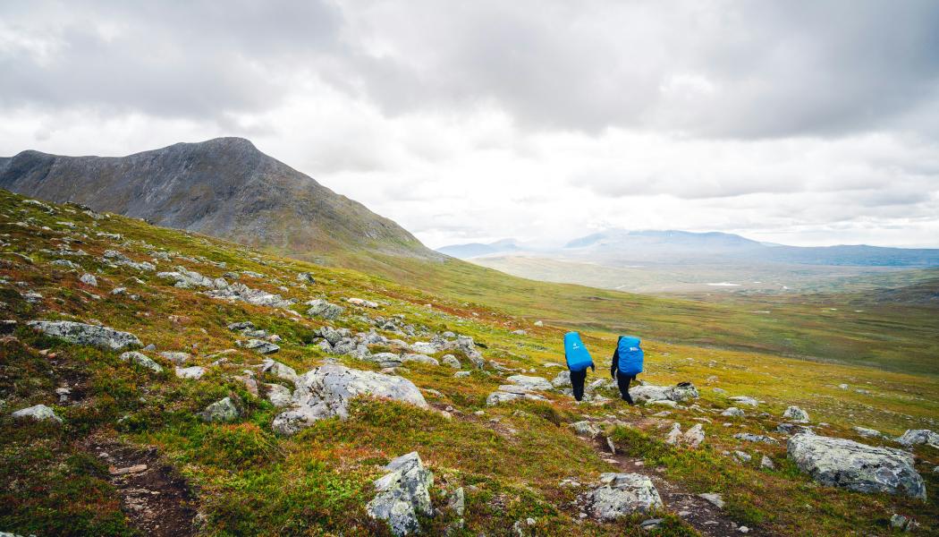 Storulvån i Jämtland. Foto: Johannes Andersson/Unsplash