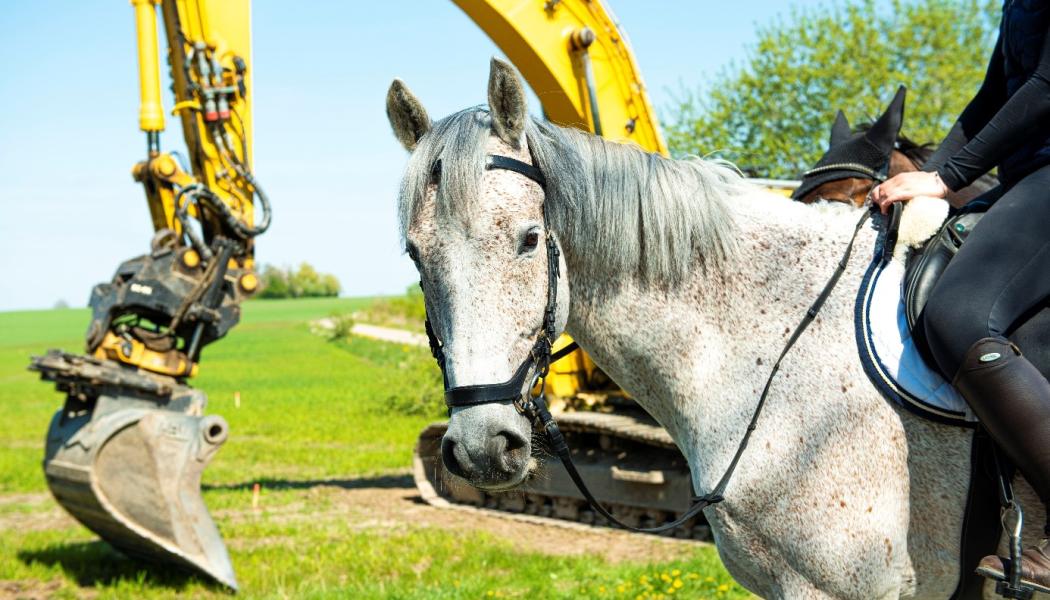 Ridhuset, beläget i Ladugårdsmarken i norra delen av Lund, kommer rymma 50 hästar, ridhus, ridbana med ridväg och hagar. Foto:  Lunds kommun