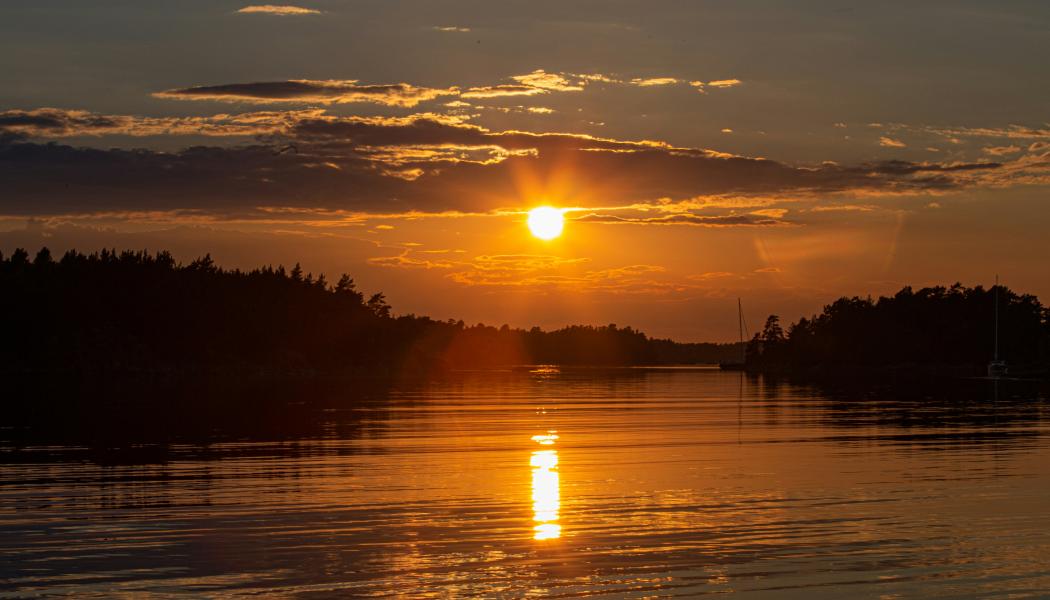 Den nya leden genom Stockholms skärgård utses till en av World’s Greatest Places 2025 av TIME – sträcker sig över 20 öar och 270 km. Foto: Håkon Grimstad/Unsplash