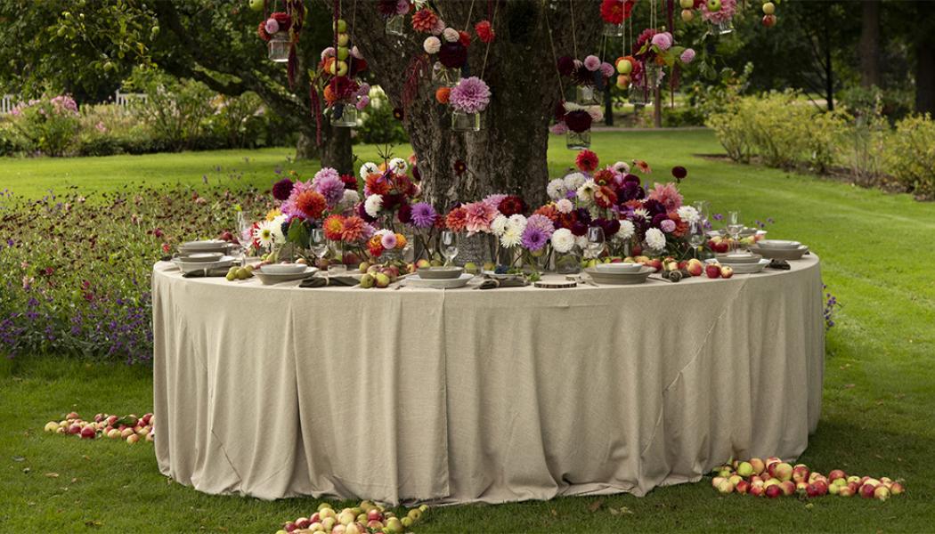 Kullafloristens utställning i dahliakvarteret. Foto: Anders Ahlgren
