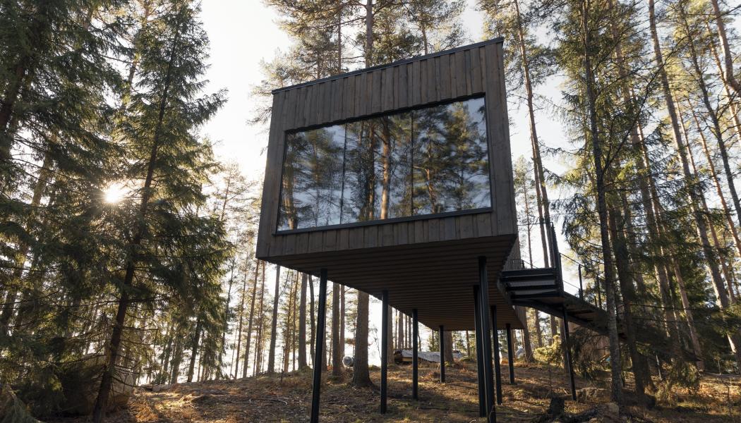 Foto: Trakt Forest