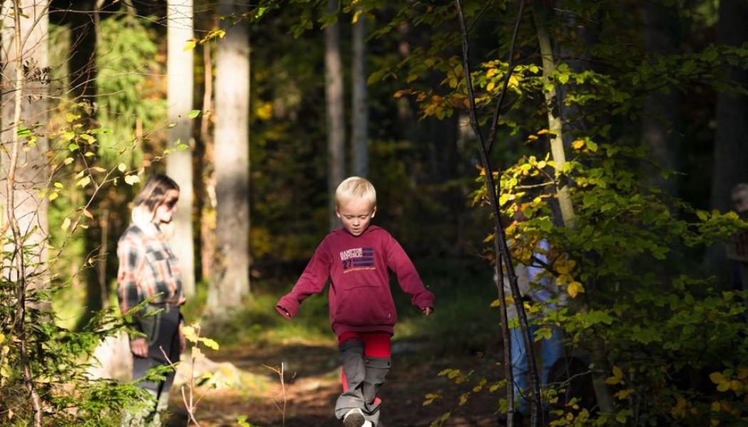 Den nya versionen av Trollskogen kommer att ta emot sina första besökare i slutet på maj. Foto: Vänersborgs kommun