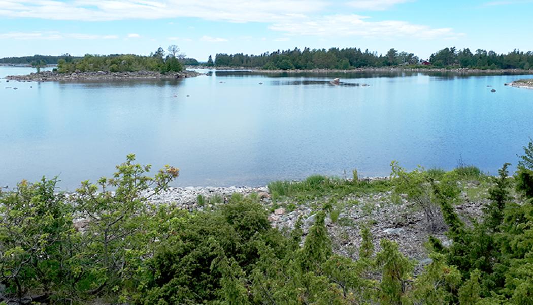 Vy över skärgården i Tupparna-Kalvhararnas naturreservat från Södra Prästskär. Foto: Länsstyrelsen Gävleborg

