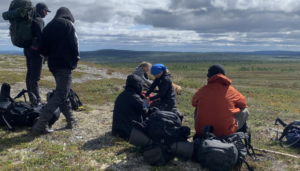 Romboleden genom Lofsdalen är nu färdigställd.  En särskild satsning för både vandrare och MTB-cyklister har gjorts på en cirka fyra kilometer lång signaturled (Våffelstigen). Foto: Lofsdalen