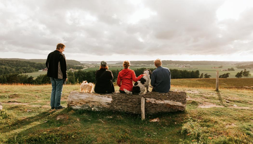 Årets coolaste friluftscamp - en folkfest med prova-på-aktiviteter, nyheter, kurser, vandringar, utehäng och äventyr! Foto: Kungsbacka kommun