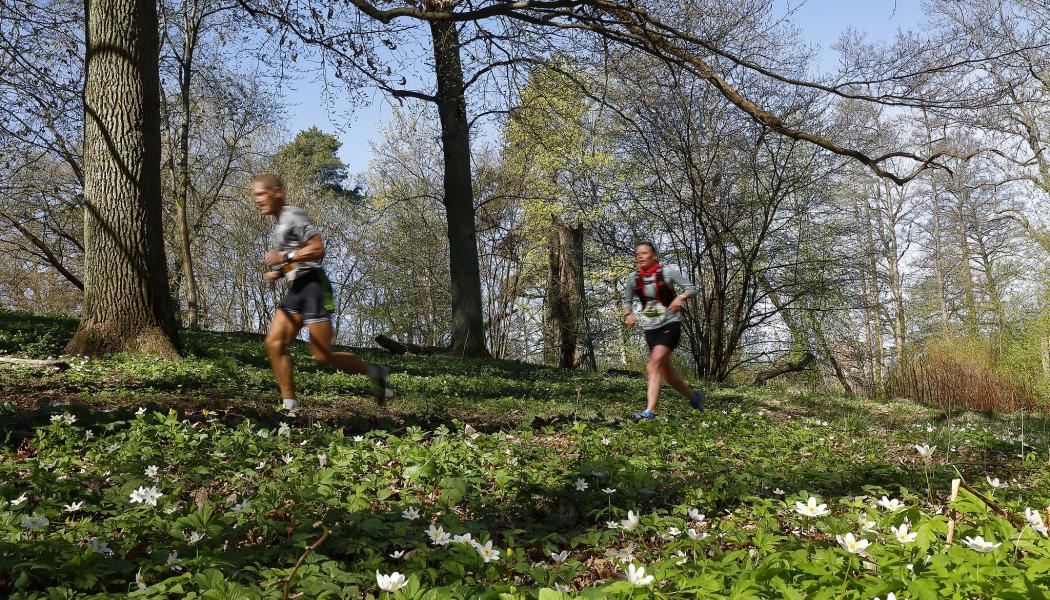 Vårmilens vackra löparspår. Foto: Lidingöloppet