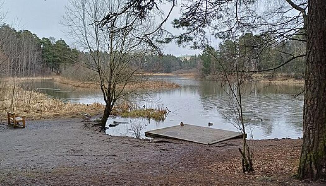 Västra bryggan vid Råcksta träsk Foto: Wikimedia Commons