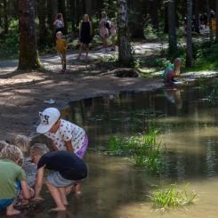 Hjärstaskogen ska bland annat få en groddamm liknande den i Varbergaskogen. Foto: Susanne Flinck