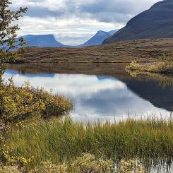 Abisko nationalpark. Foto: Torbjoern Messner/ Wikimedia Commons