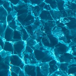 Foto: Artem Militonian / Unsplash