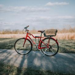Foto: Christin Hume/Unsplash