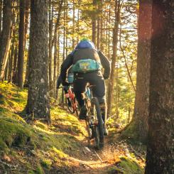 Foto: tim foster/unsplash